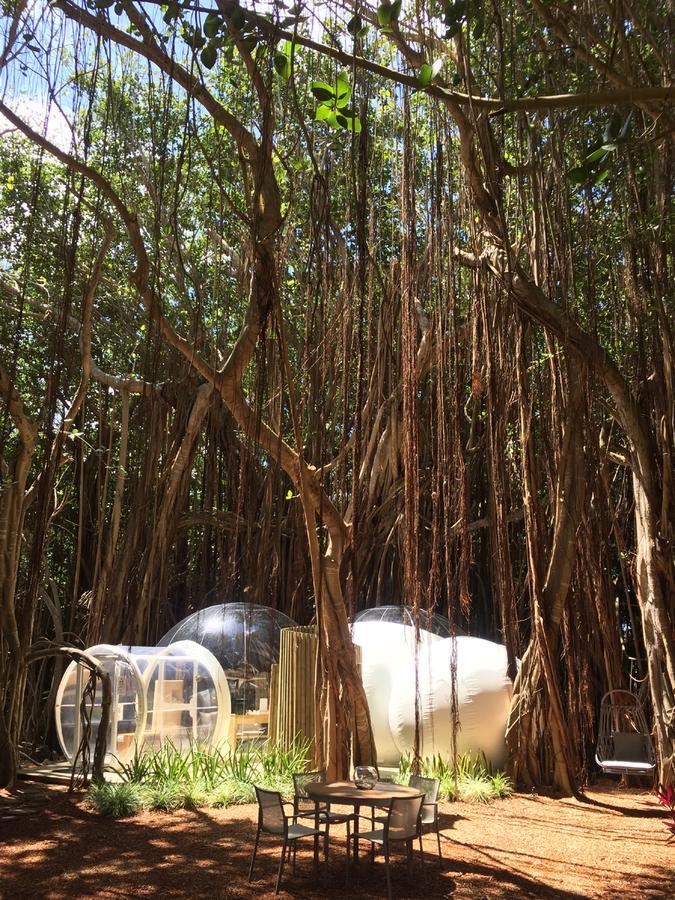 塞尔夫岛泡泡屋酒店 Ile aux Cerfs 外观 照片