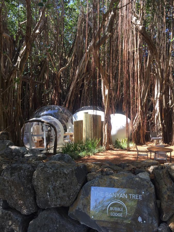 塞尔夫岛泡泡屋酒店 Ile aux Cerfs 外观 照片